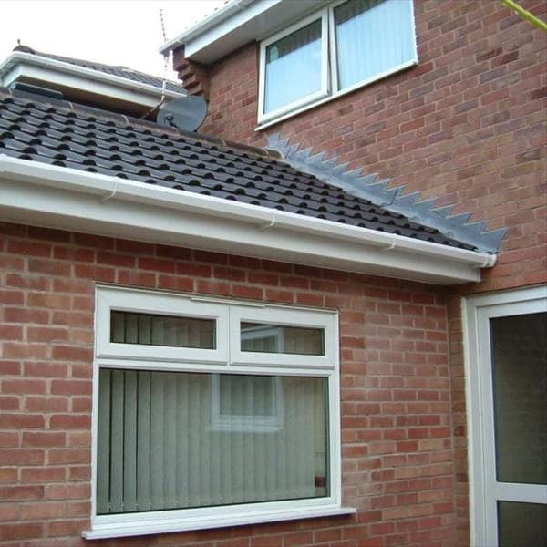 Dexters Build roofing and building project 163