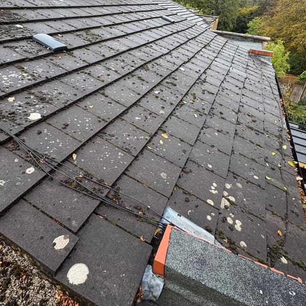 The old roof tiles before the job, spotted with lichen and moss
