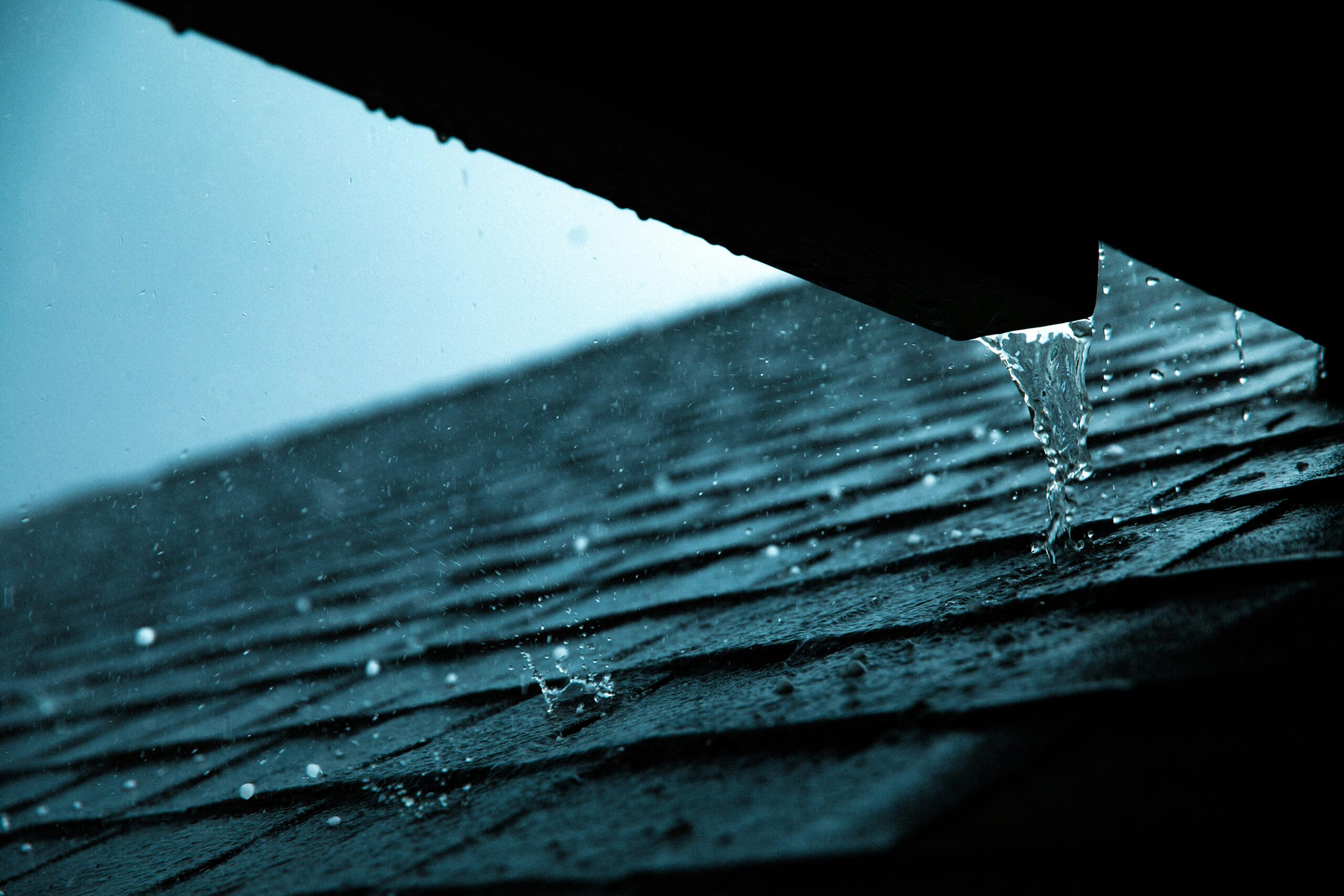 Flat Roof Leaking? Here Is Why and What Your Options Are