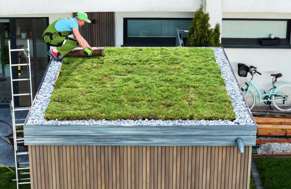 What Is a Disadvantage of a Green Roof?