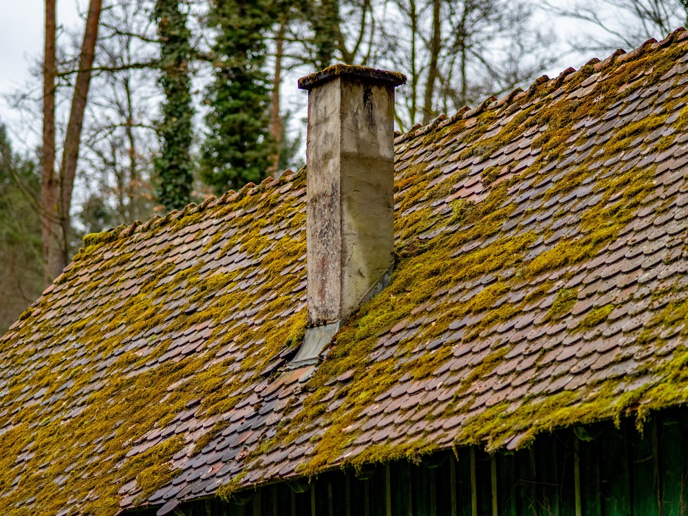 What Is the Best Way to Remove Moss From a Roof? | Expert Guide