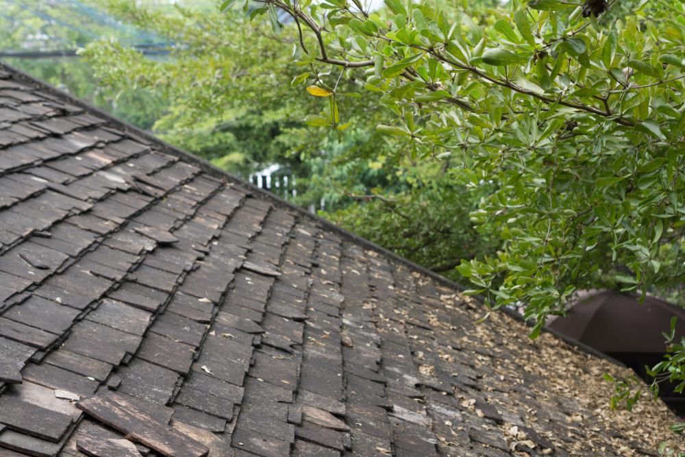 10 Signs You Need a New Roof